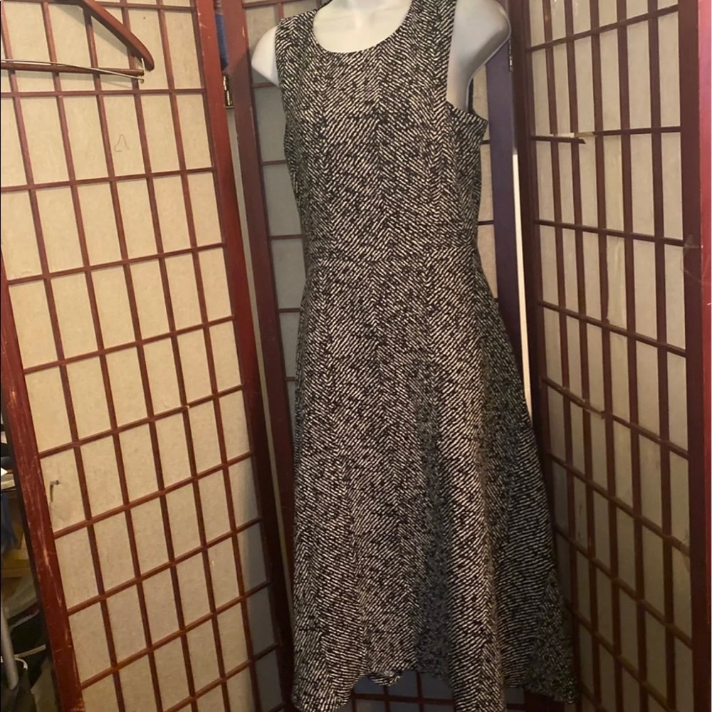 Zara dress